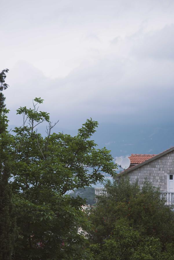 Porodicni Apartment Sveti Stefan Luaran gambar